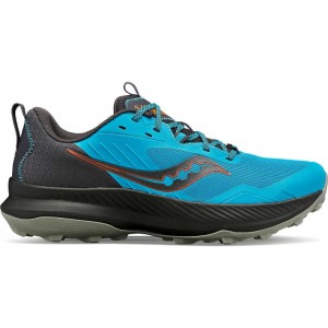 Saucony Blaze TR Trailrunning Schuhe Herren Blau | SCHWEIZ MJTLE