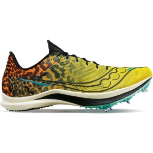 Saucony Endorphin Cheetah Laufschuhe Damen Mehrfarbig | SCHWEIZ FRVWD