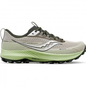 Saucony Peregrine 13 GTX Laufschuhe Herren Grau Mintfarben | SCHWEIZ YTDZN