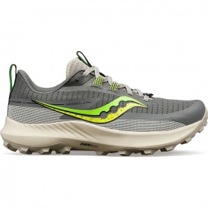 Saucony Peregrine 13 Trailrunning Schuhe Damen Grau | SCHWEIZ DGRTN