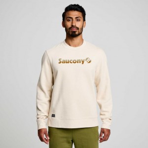 Saucony Recovery Crew Sweatshirt Herren Weiß | SCHWEIZ BHCVE