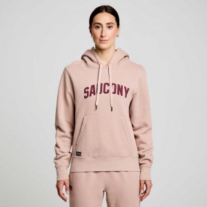 Saucony Recovery Hoodie Damen Rosa | SCHWEIZ JTNAL