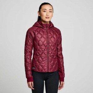 Saucony Solstice Oysterpuff Jacke Damen Bordeaux | SCHWEIZ DXHEG