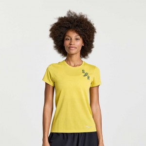 Saucony Stopwatch Graphic Kurzes Sleeve T-Shirt Damen Gelb | SCHWEIZ PKTNY