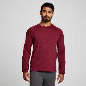 Saucony Triumph 3D Crew Sweatshirt Herren Rot | SCHWEIZ YLTMQ