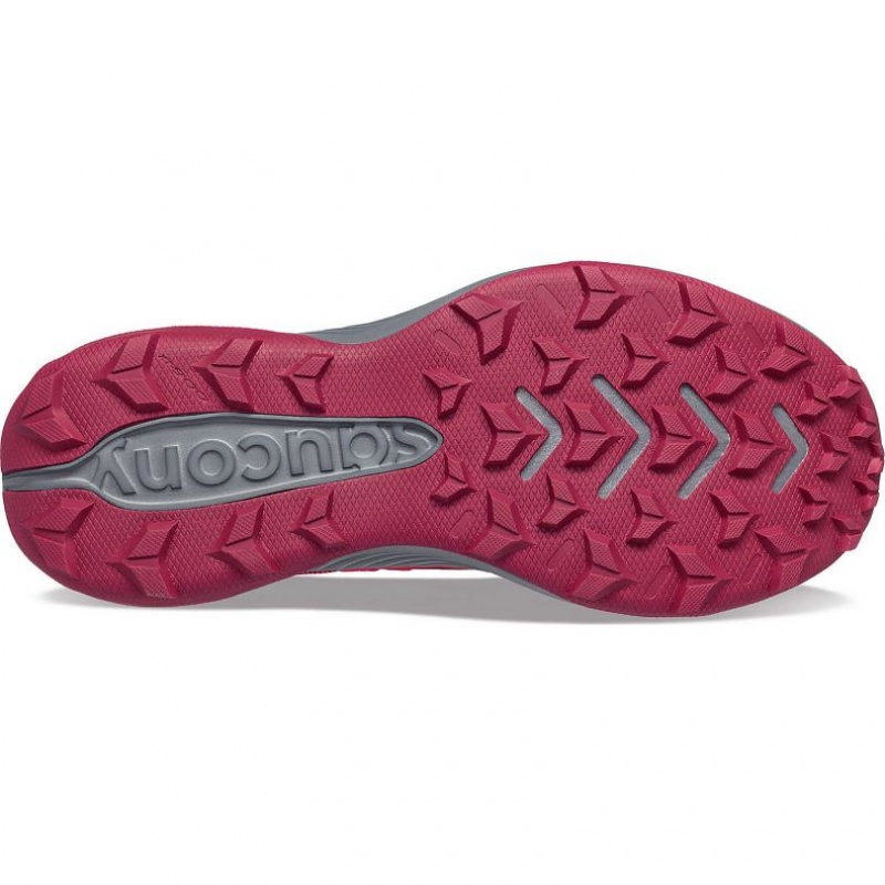 Saucony Blaze TR Trailrunning Schuhe Damen Rosa | SCHWEIZ PGMYJ