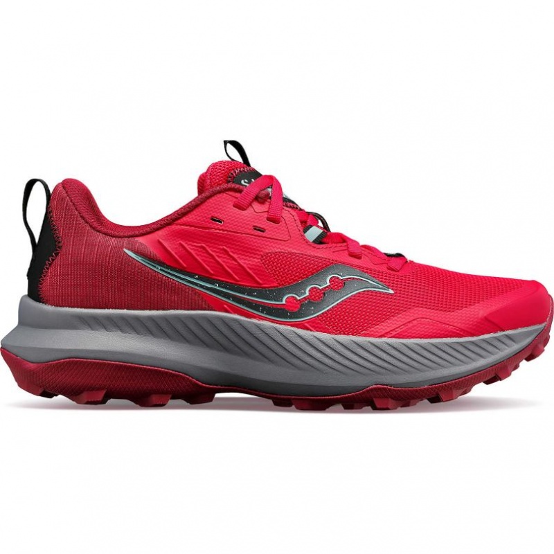 Saucony Blaze TR Trailrunning Schuhe Damen Rosa | SCHWEIZ PGMYJ