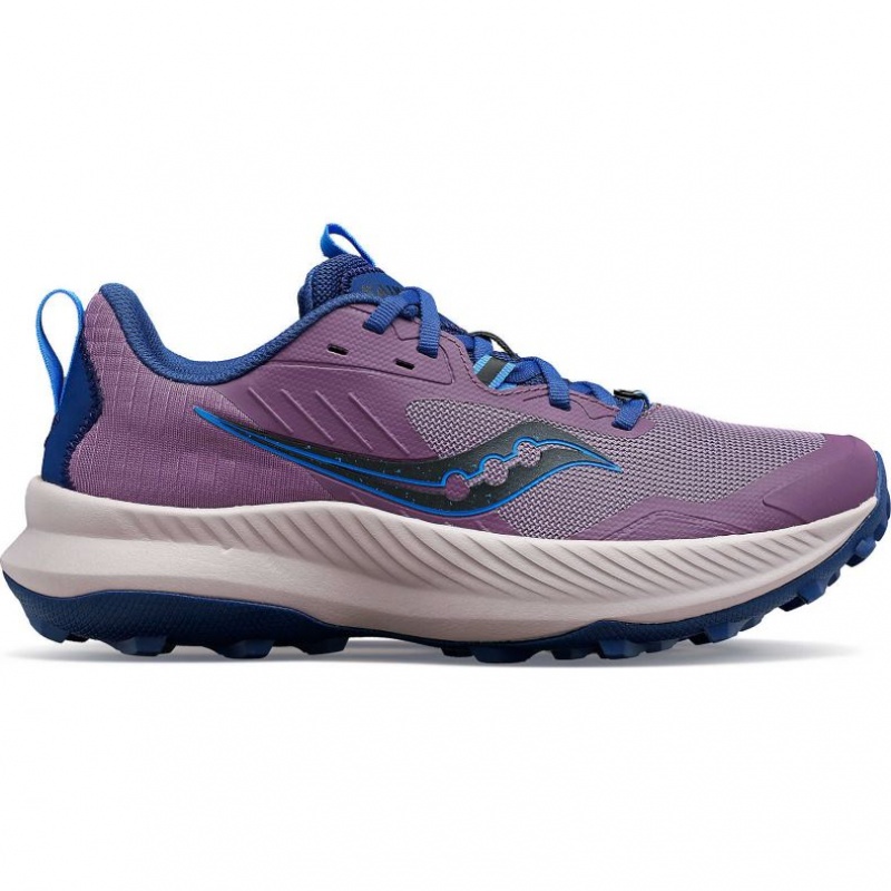 Saucony Blaze TR Trailrunning Schuhe Damen Lila | SCHWEIZ HQUXG