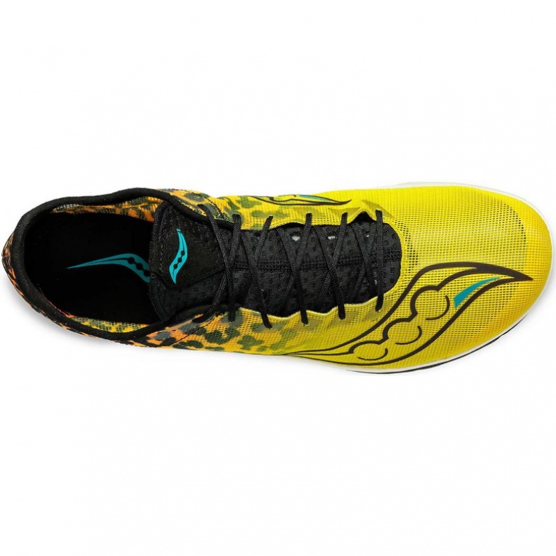 Saucony Endorphin Cheetah Laufschuhe Herren Mehrfarbig | SCHWEIZ GXCSA