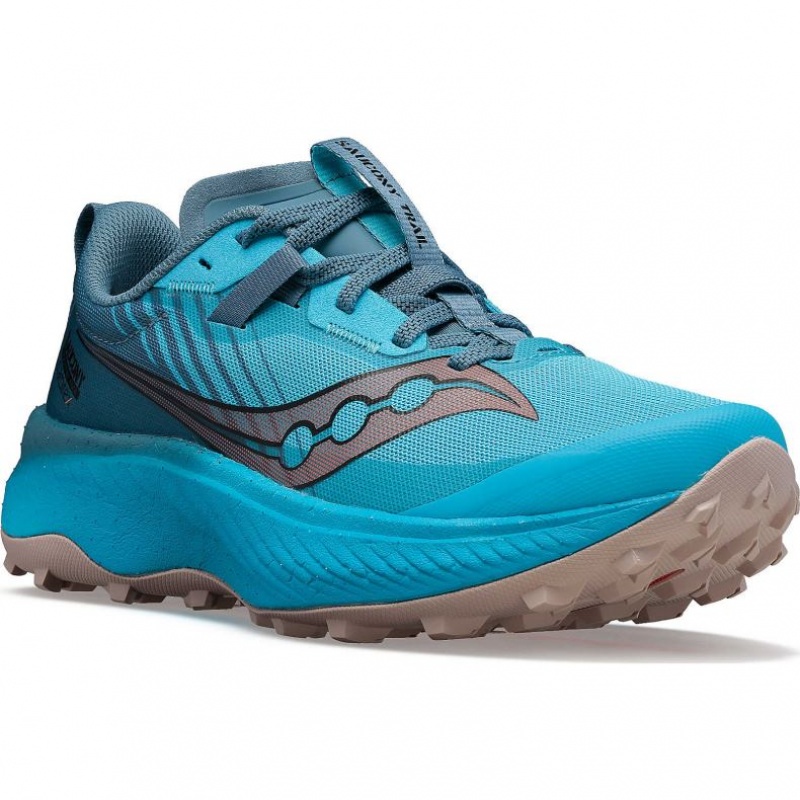 Saucony Endorphin Edge Trailrunning Schuhe Damen Blau | SCHWEIZ XPQLK