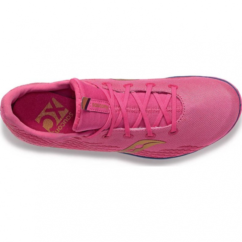 Saucony Havok XC 3 Leichtathletikschuhe Herren Rosa | SCHWEIZ LFAVJ