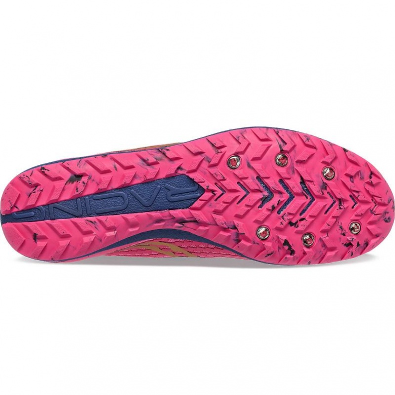 Saucony Havok XC 3 Leichtathletikschuhe Herren Rosa | SCHWEIZ LFAVJ