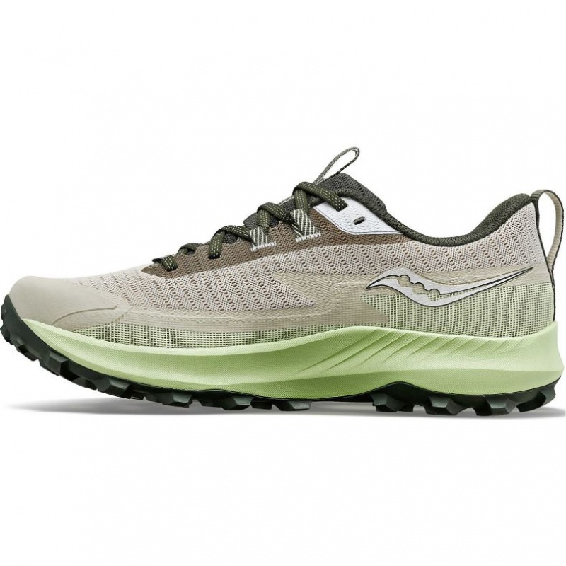 Saucony Peregrine 13 GTX Laufschuhe Herren Grau Mintfarben | SCHWEIZ YTDZN