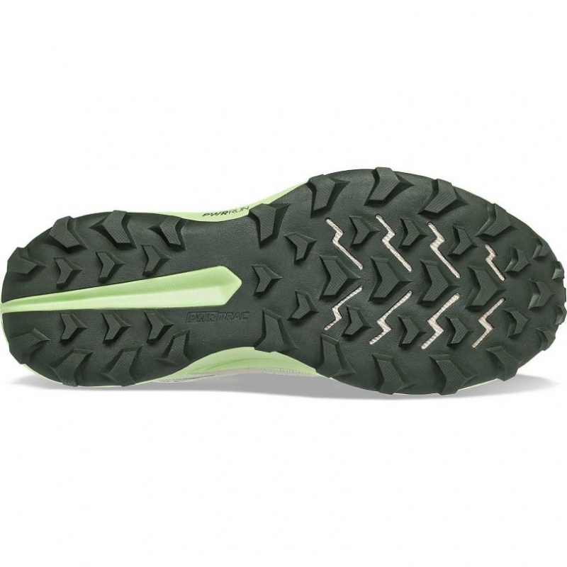 Saucony Peregrine 13 GTX Laufschuhe Herren Grau Mintfarben | SCHWEIZ YTDZN