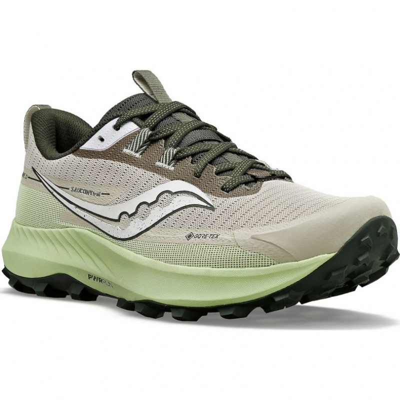 Saucony Peregrine 13 GTX Laufschuhe Herren Grau Mintfarben | SCHWEIZ YTDZN