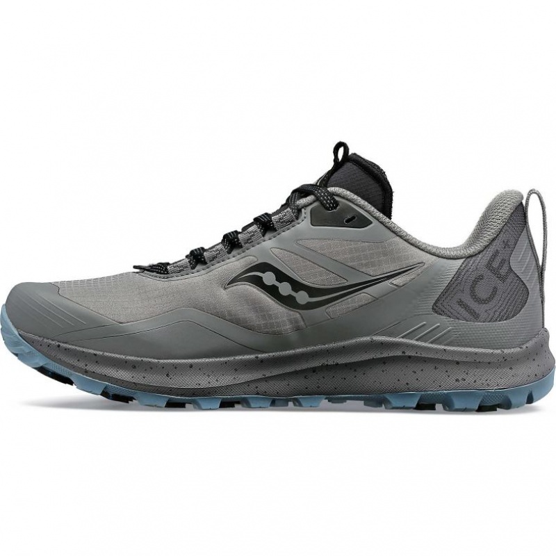 Saucony Peregrine ICE+ 3 Trailrunning Schuhe Damen Grau | SCHWEIZ OKJEM