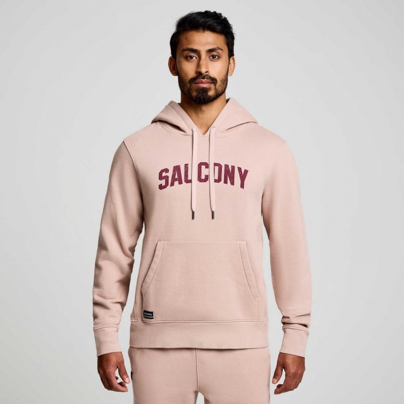 Saucony Recovery Hoodie Herren Rosa | SCHWEIZ ZPREA