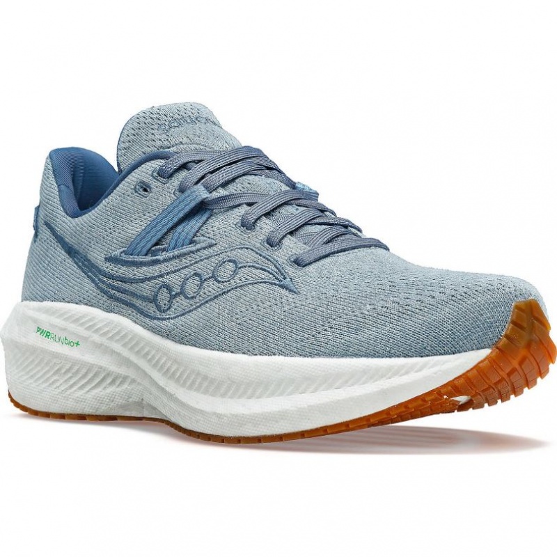 Saucony Triumph RFG Laufschuhe Herren Blau | SCHWEIZ FLRHT