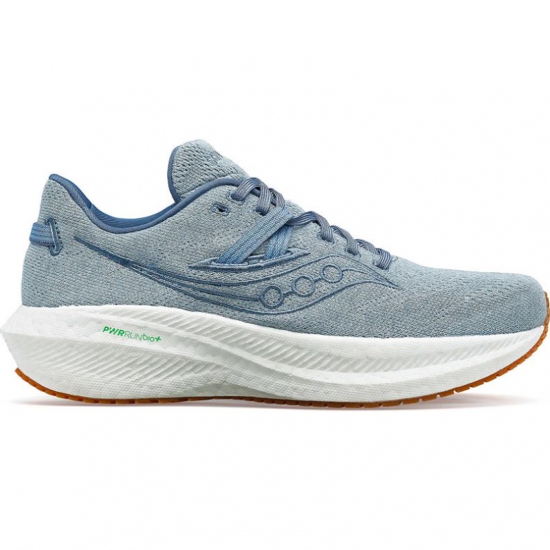 Saucony Triumph RFG Laufschuhe Herren Blau | SCHWEIZ FLRHT